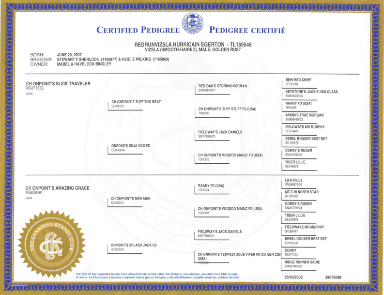 cain-pedigree.jpg